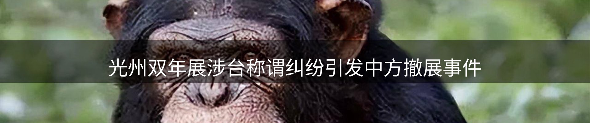 动态专栏