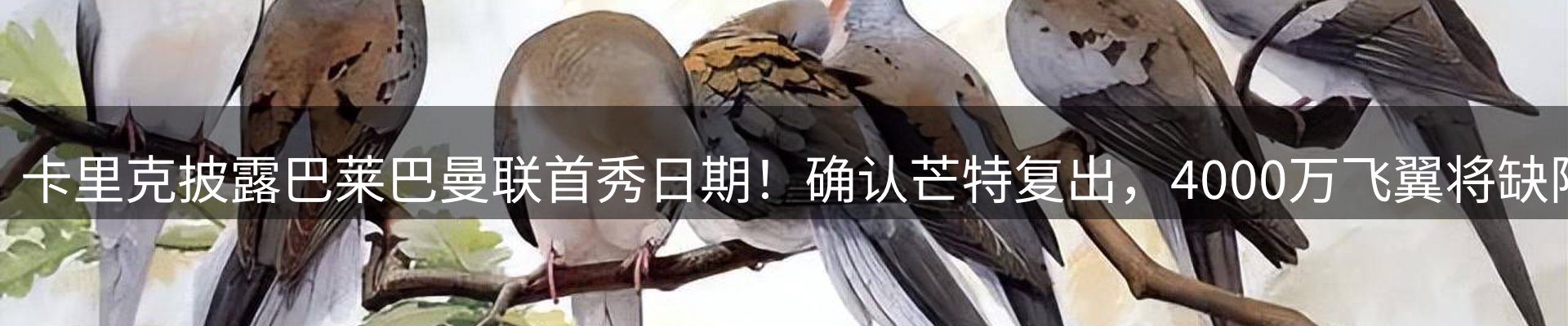 动态专栏