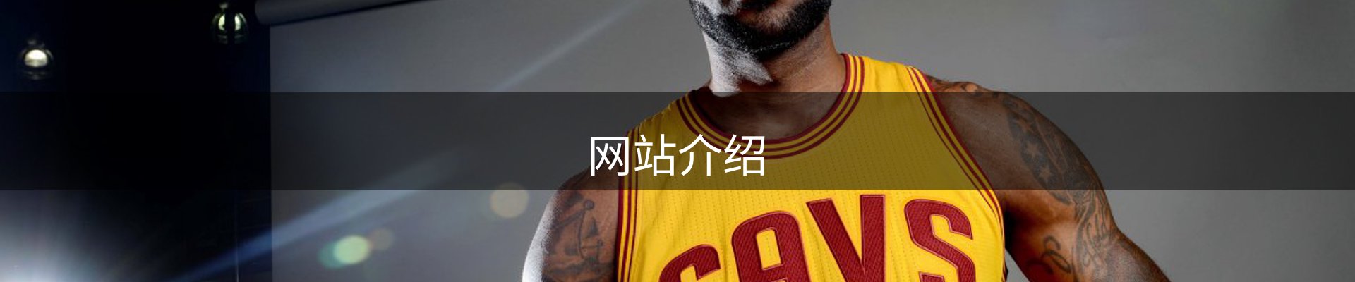 网站介绍