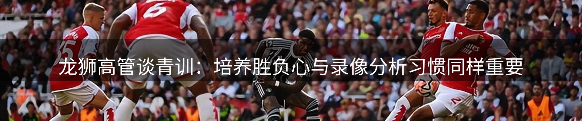 动态专栏